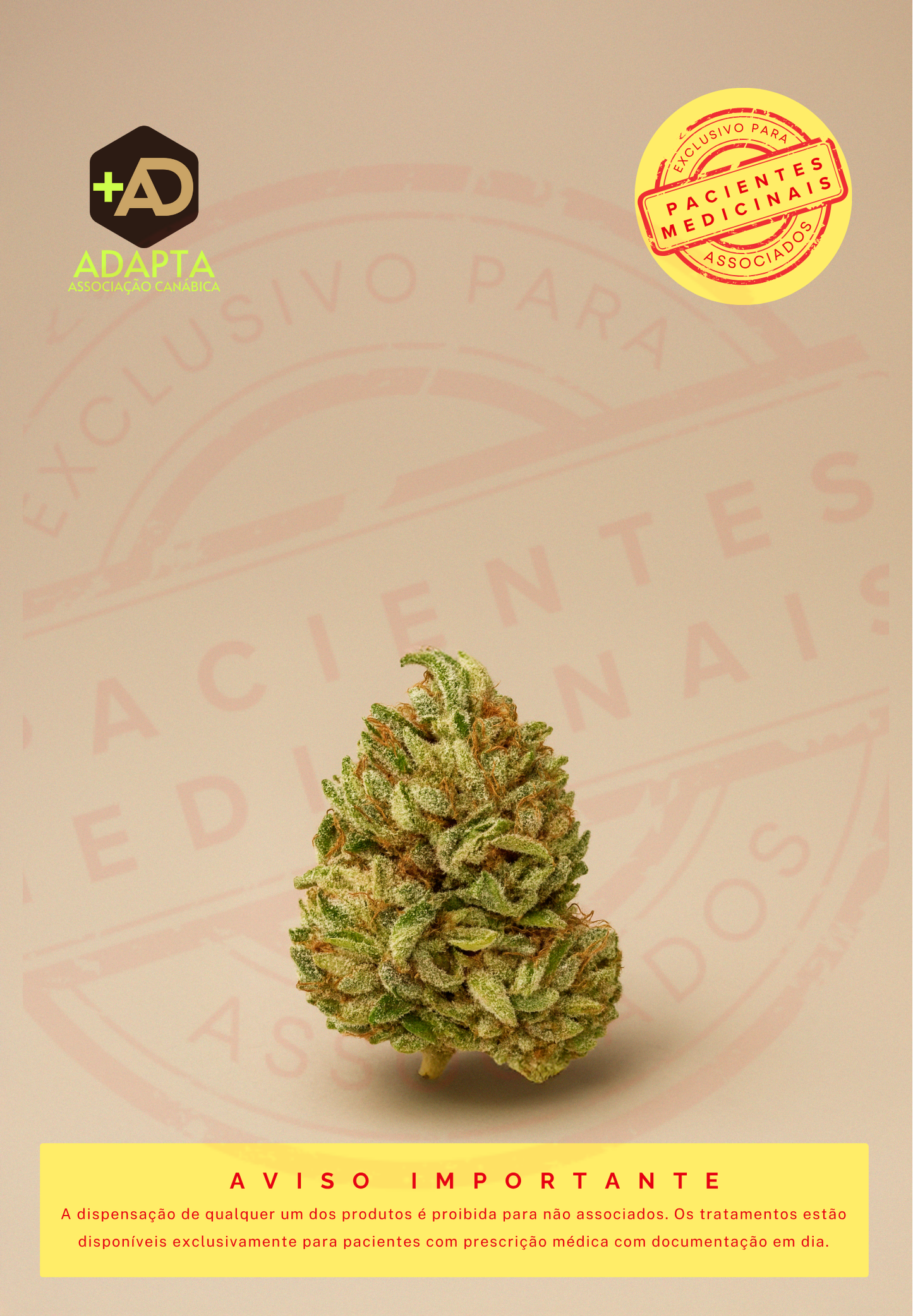 FLOR RICA EM THC 1:0  CHERRY GAR-SEE-YA GREENHOUSE